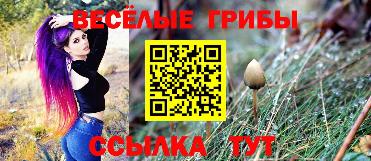Галлюциногенные грибы Cubensis Королёв