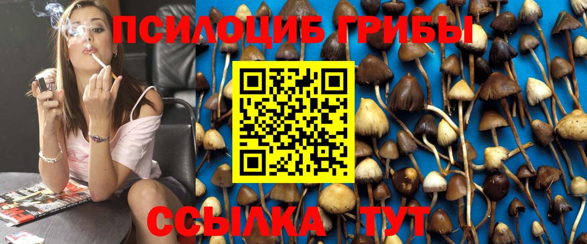 Королёв  Галлюциногенные грибы GOLDEN TEACHER  Вход с VPN  Псилоцибиновые грибы MAGIC MUSHROOMS 