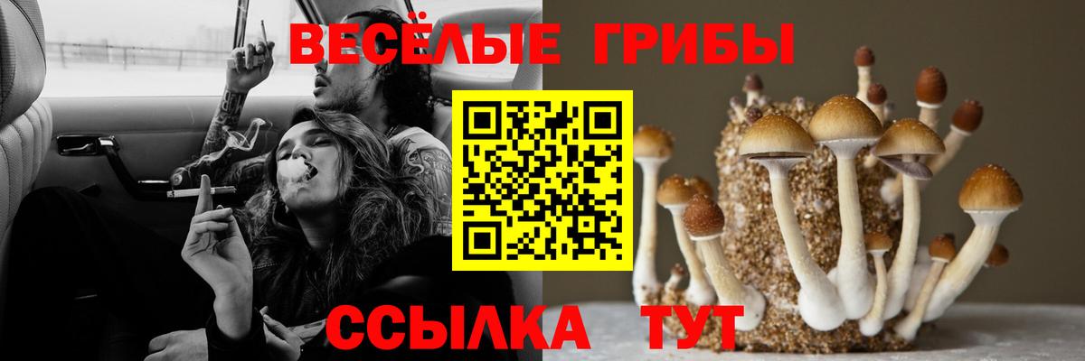 Галлюциногенные грибы Королёв